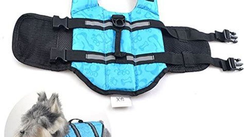 选择加盟代理品牌时，首先要关注其品牌实力。一个实力雄厚的品牌，通常具备以下特点：