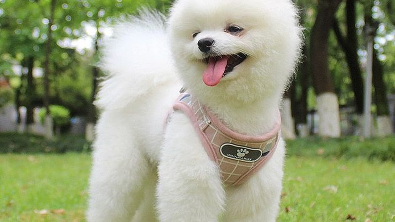 冷水机代理起步：从了解行业到成功运营